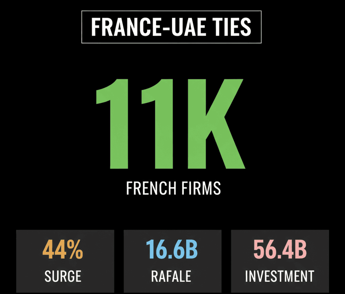 France-UAE Business Growth: Strategic Alignment & FDI