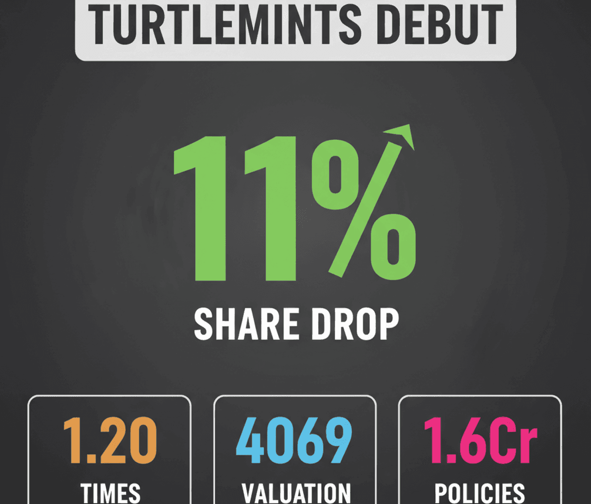 Turtlemint Fintech IPO Dives 11%: Investor Caution Ahead