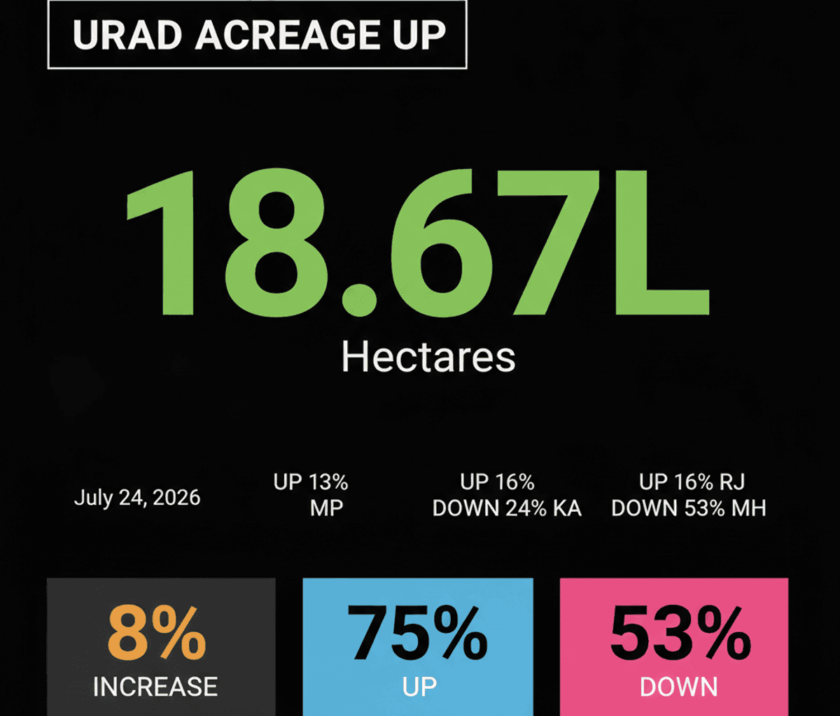 Urad Acreage Surges 8% to 18.67 Lakh Hectares
