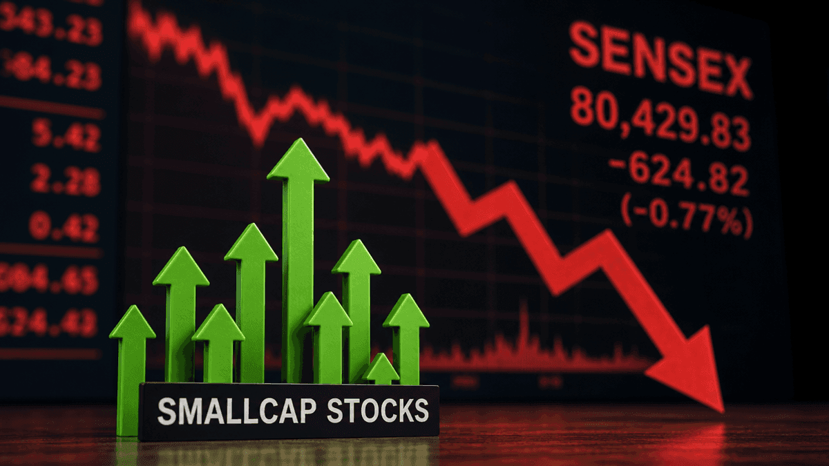 13 Smallcap Stocks Gain Amidst Market Dip