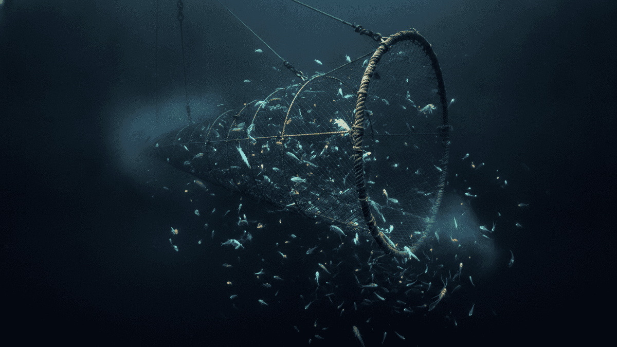 The Twilight Zone: Unpacking Hidden Systems for Carbon Capture & Consciousness