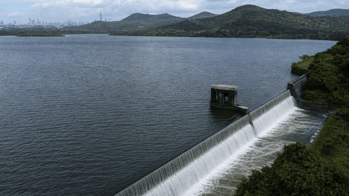 Mumbai Lakes Near Full: Vihar, Modak Sagar Overflow
