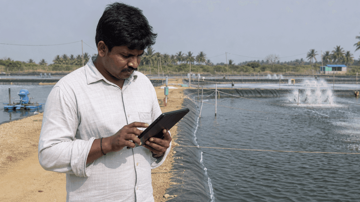 AquaPulse Enters Andhra Pradesh to Procure 5,000 MT Shrimp